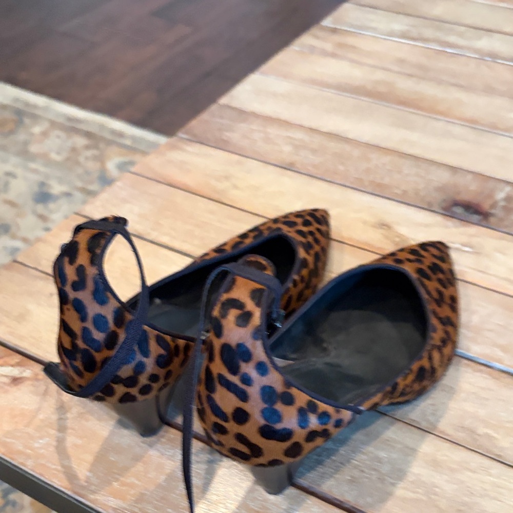 Franco Sarto Leopard Print Pointed-Toe Pumps - Brown/Black